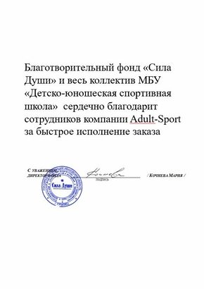 Благотворительный фонд «Сила Души»